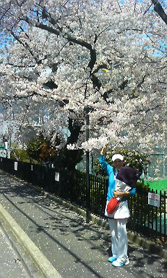 外側から